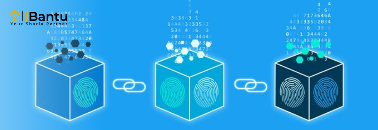 Jenis-Jenis Node dalam Blockchain